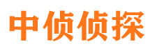 紫金市侦探调查公司